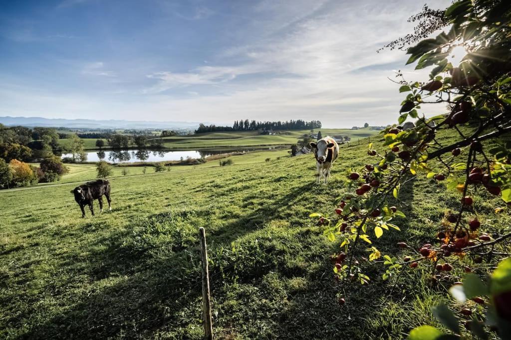 Appartement Mondholzliebe Eg Argenbuhl Buitenkant foto